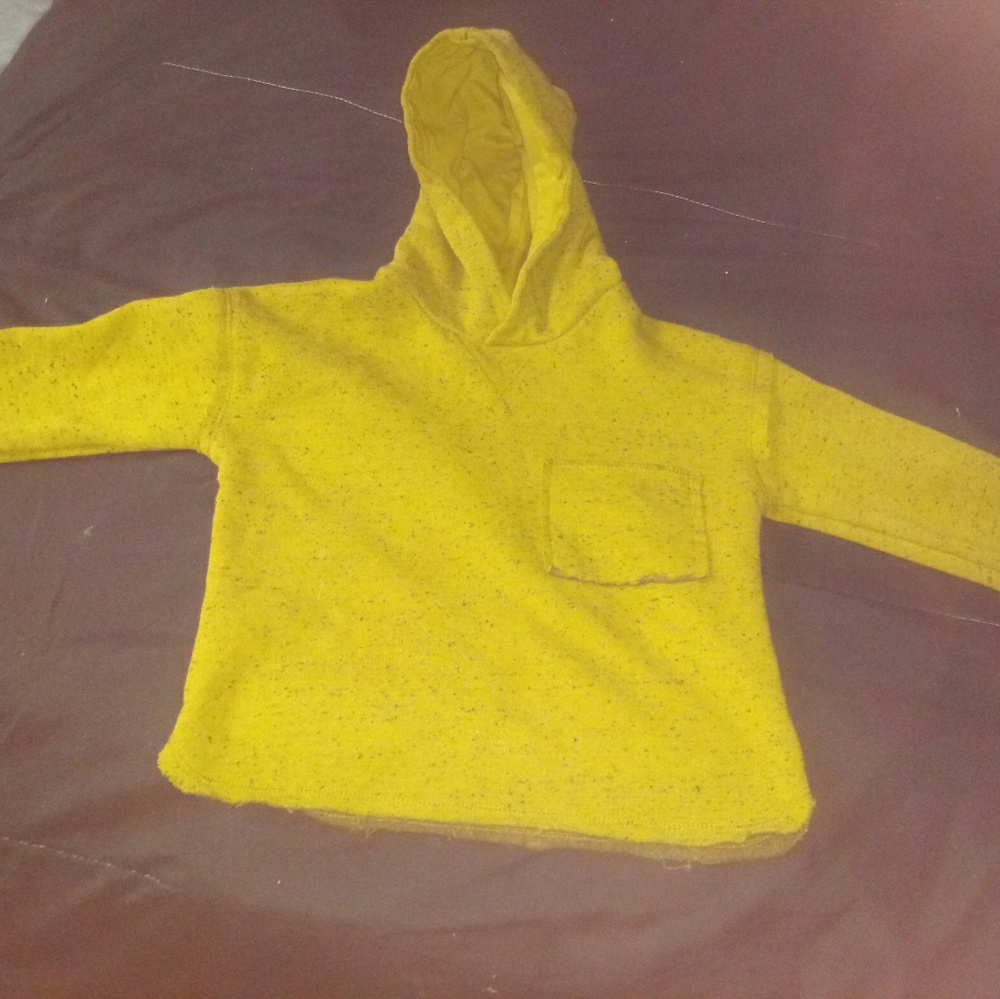 Zara hoodie